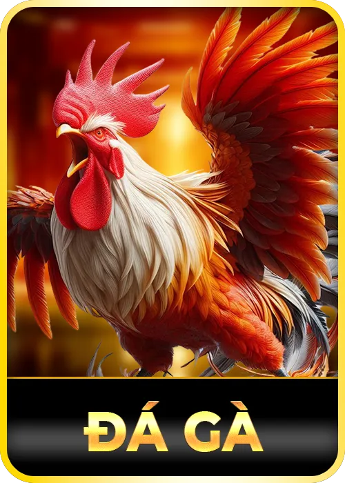 đá gà
